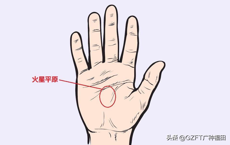 5分钟学会看手相,如何从零开始学会看手相