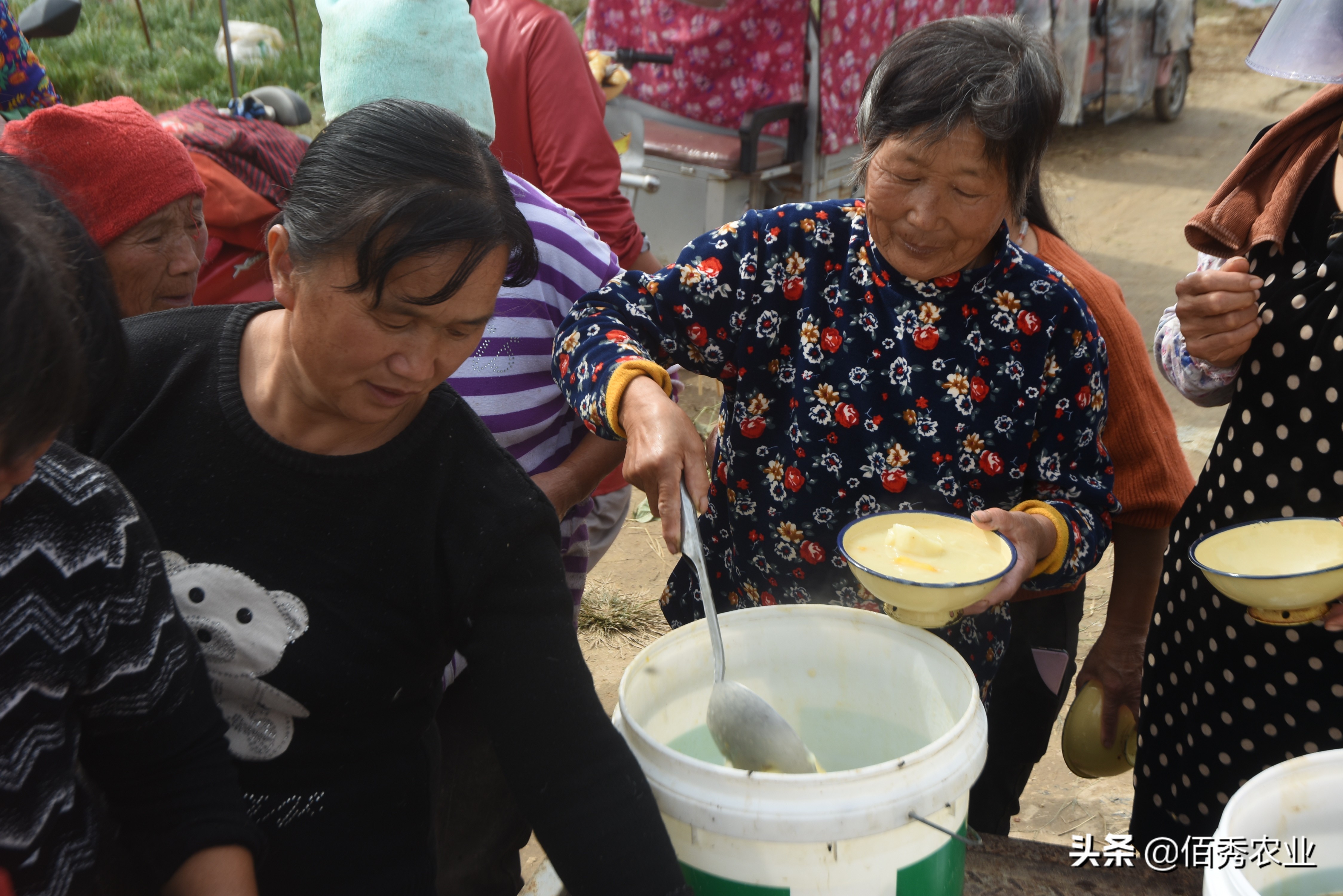 农村中年妇女能干什么赚钱,农村中老年妇女在家干什么能挣钱