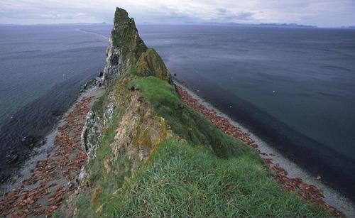 冷知识中国和阿富汗接壤,美国和俄罗斯是邻国吗