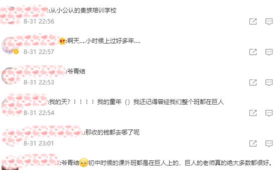 巨人教育最新真实情况,巨人教育培训机构排名