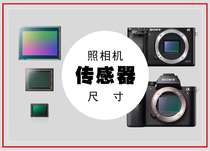 拍摄花卉的景深有哪些方法,如何运用和控制花卉摄影的景深