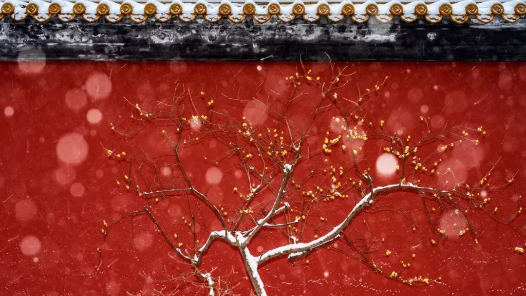 去了那么多次你真的了解南京吗,去了很多地方就会有阅历吗