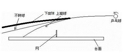 乒乓球发球左旋转与顺旋转的区别,乒乓球的旋转分为几种