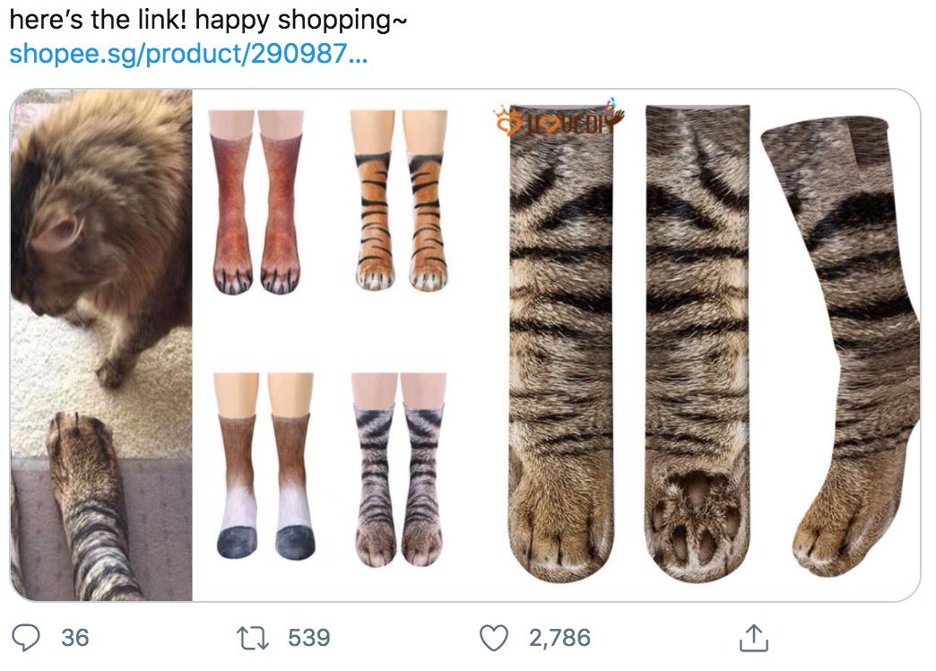 这位老爸是资深猫奴，买了双猫爪袜子跟猫咪显摆，把它们吓坏了