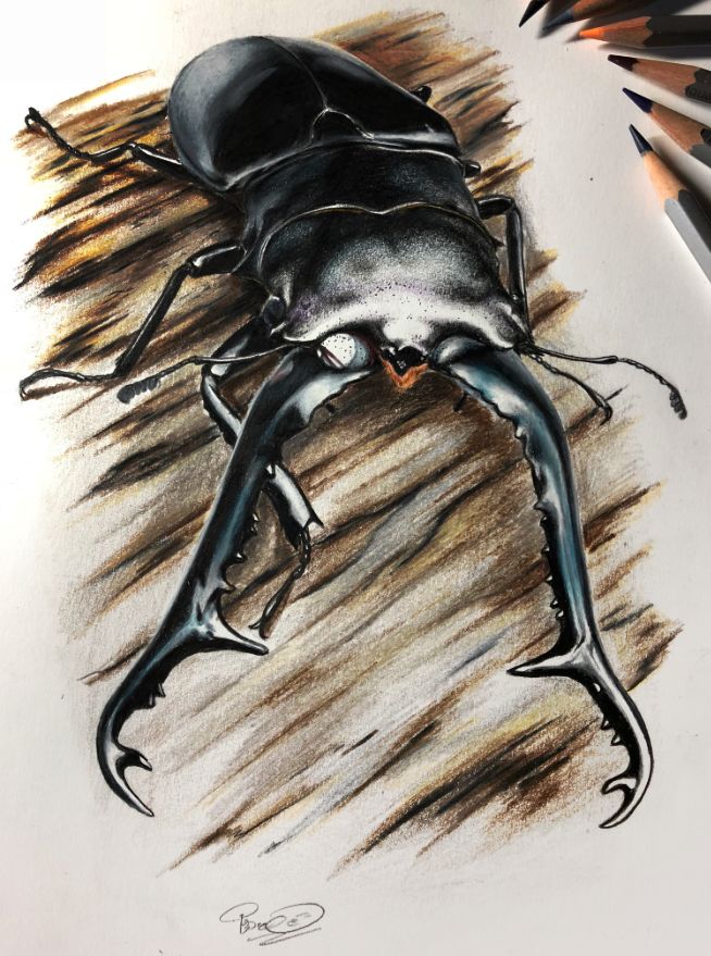 失明女孩铅笔画,手绘眼睛流泪铅笔画