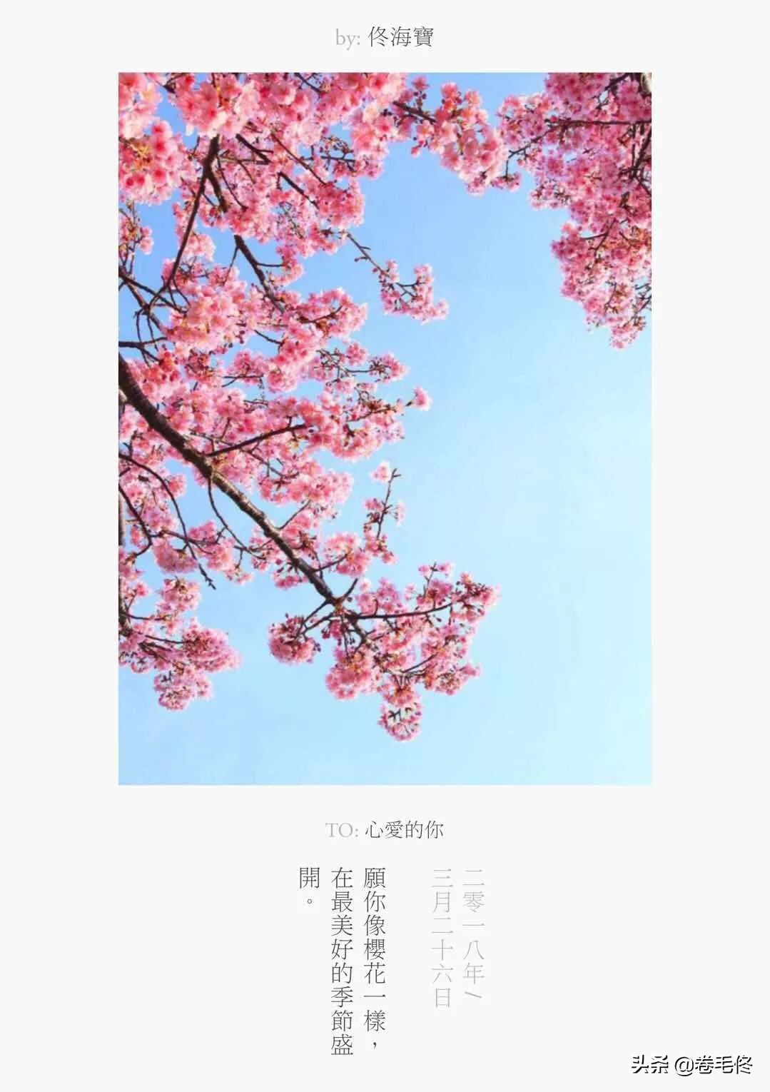 照片添加各种字体文字app,哪个app可以把照片转成文字