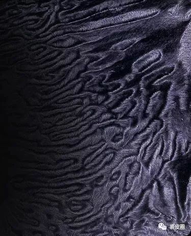 当今最昂贵的皮草是什么,顶级皮草有哪些种类