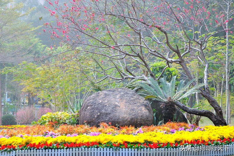珠海景点排行榜前十名,珠海免费开放的沙滩十大免费景点