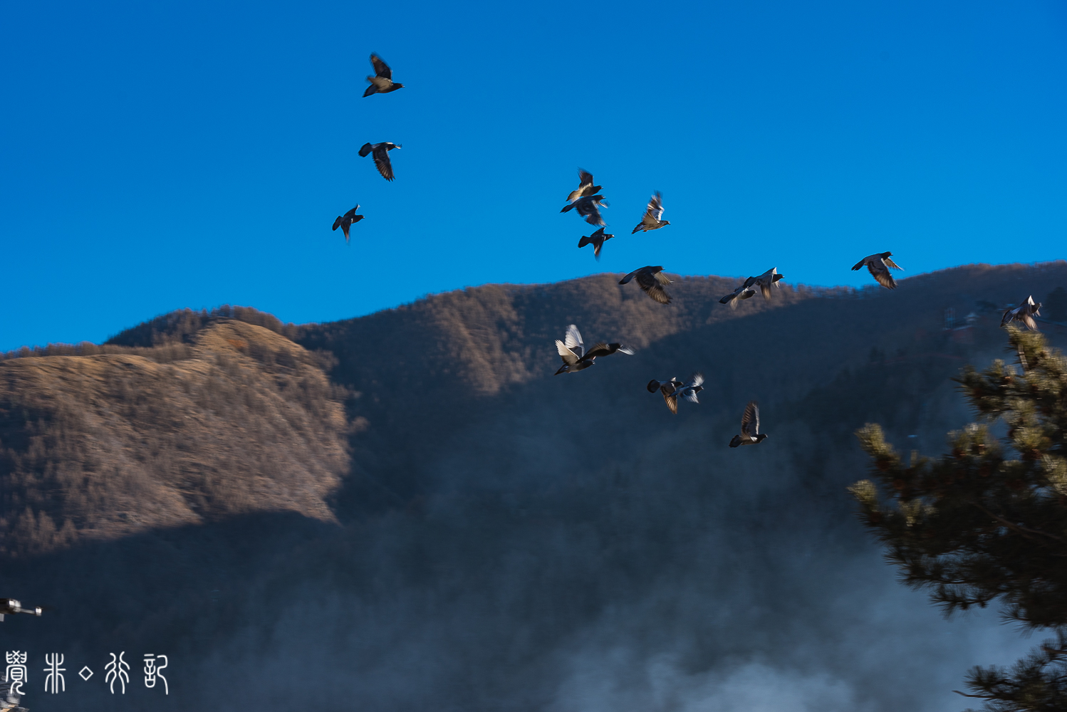 文殊菩萨的道场是哪个佛教名山,文殊菩萨最大的寺院在哪里