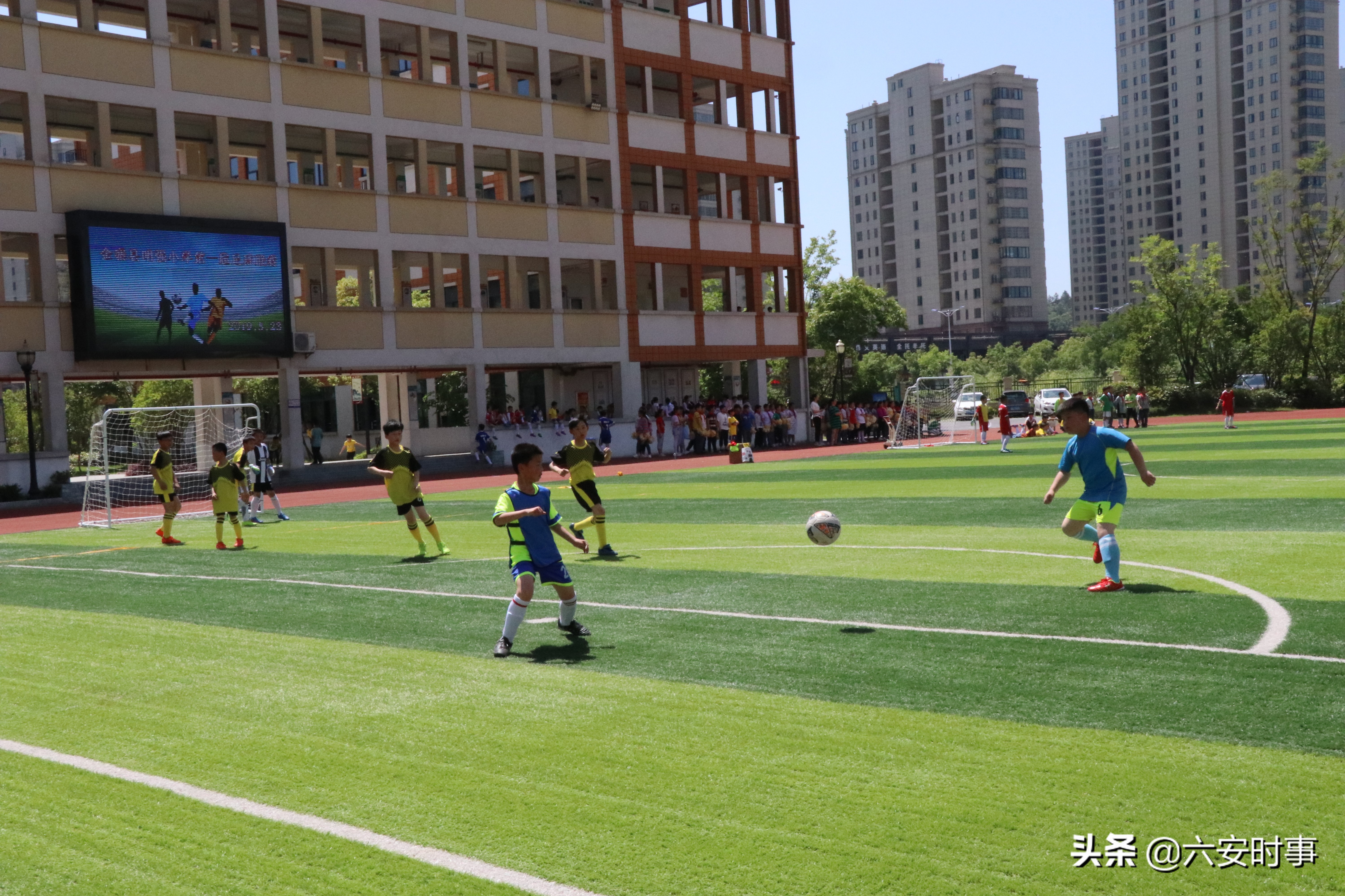 足球点亮梦想绿茵放飞希望手抄报,逐梦绿茵放飞希望征文