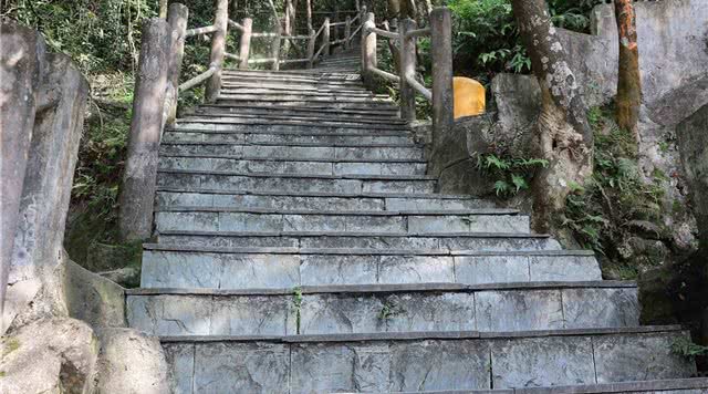 广东省内森林旅游景点,广东森林公园排行榜