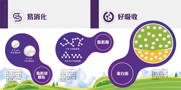 圣特拉慕婴儿配方羊奶粉800g,圣特拉慕婴儿配方羊奶粉怎么样