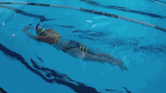 中游体育波浪式蛙泳推进力,中游体育蛙泳