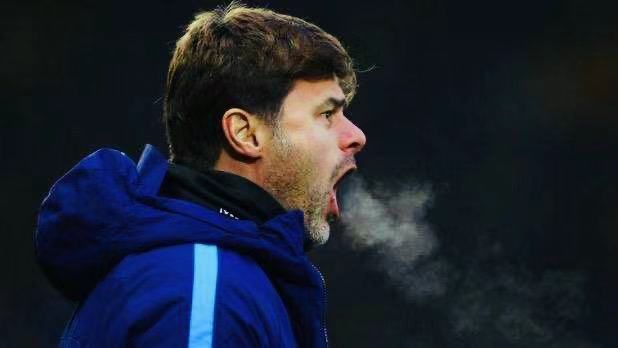 金蝉脱壳者波切蒂诺