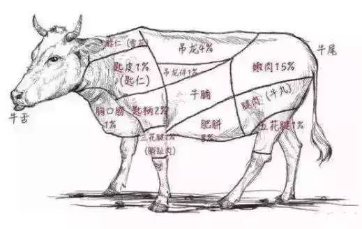 炒牛肉老的咬不动怎么办,炒牛肉太老怎么补救