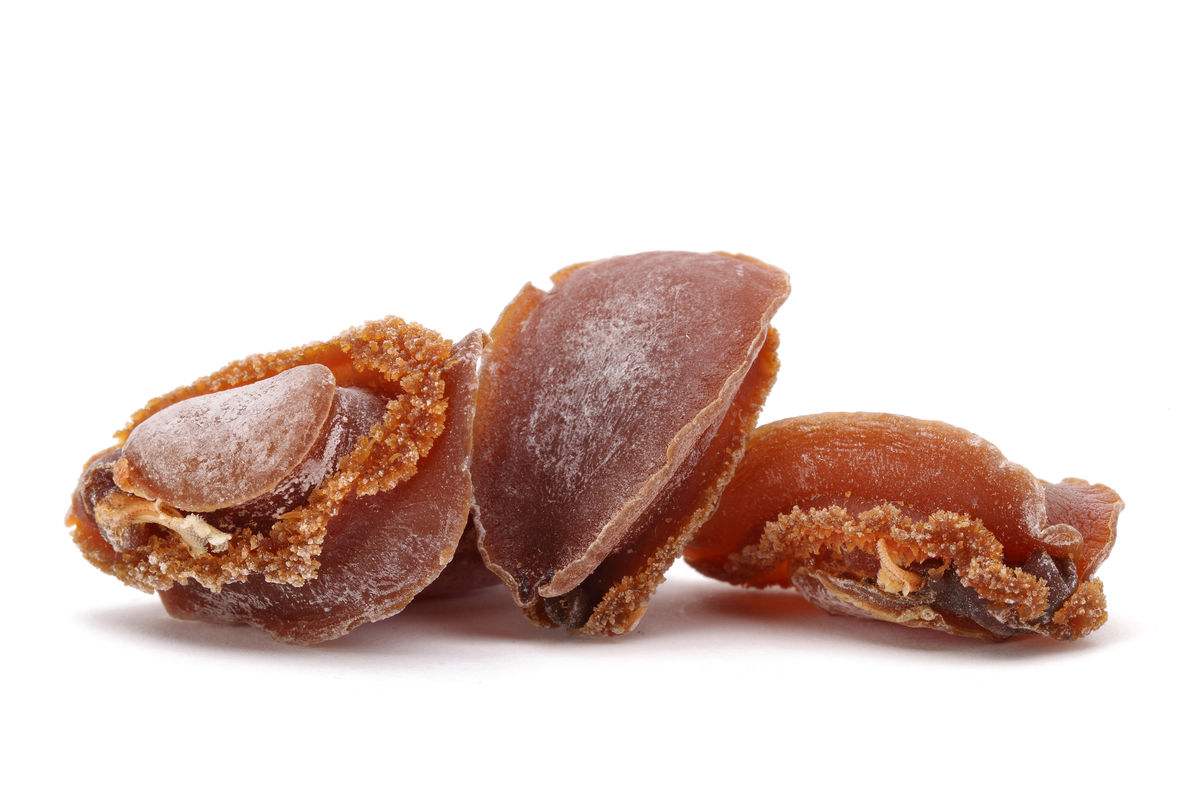 九头鲍九尾鲍，究竟谁才是真的鲍？