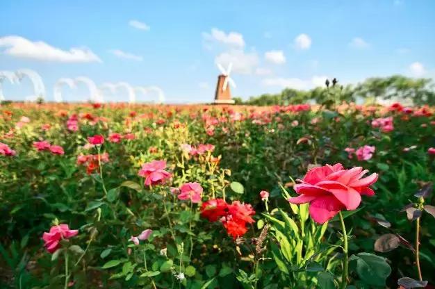 比厦门安静的地方,比厦门安静的海滨城市
