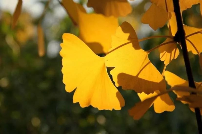 停课不停学却停了生活费,停课不停学每天时长