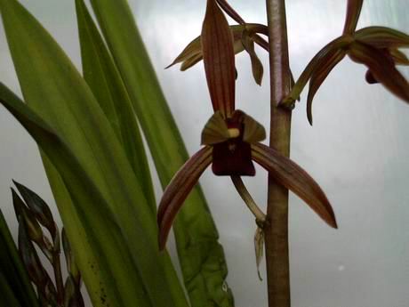 新手兰友的建议,新手兰友容易入的坑