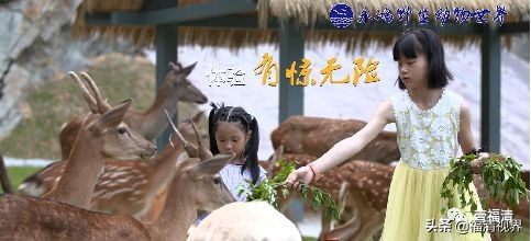 何必去远方家门口就有美丽的风景,福清文化旅游