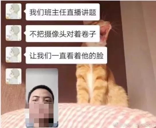 网课学生翻车现场视频,小学生网课翻车现场全集