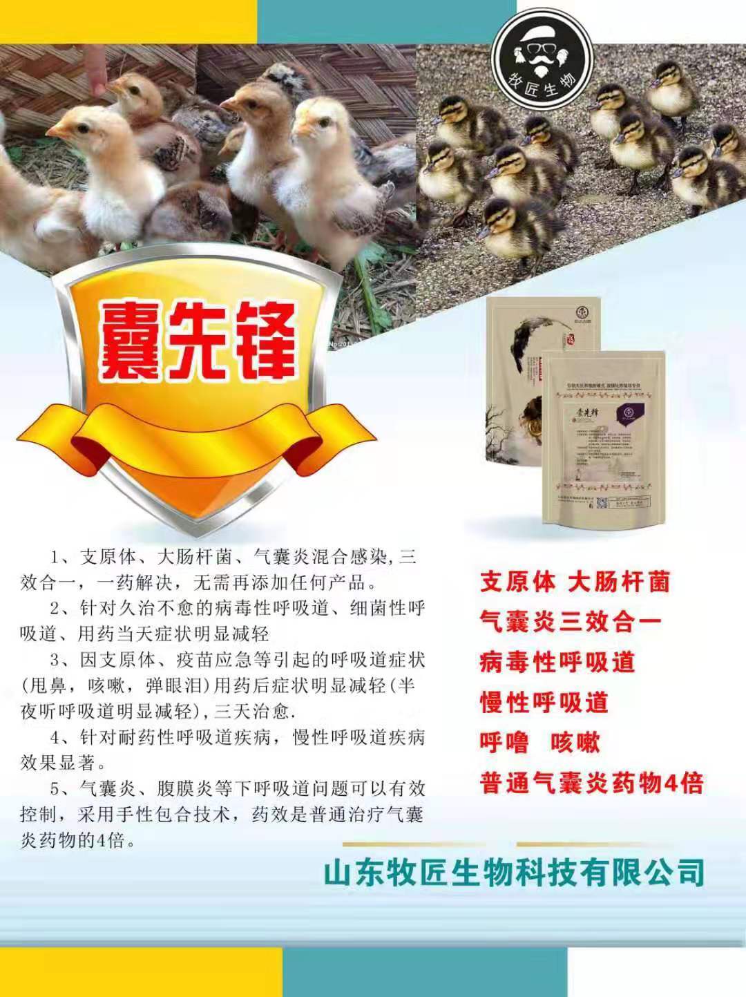 鸡支气管堵塞如何治,鸡支气管堵塞的治疗