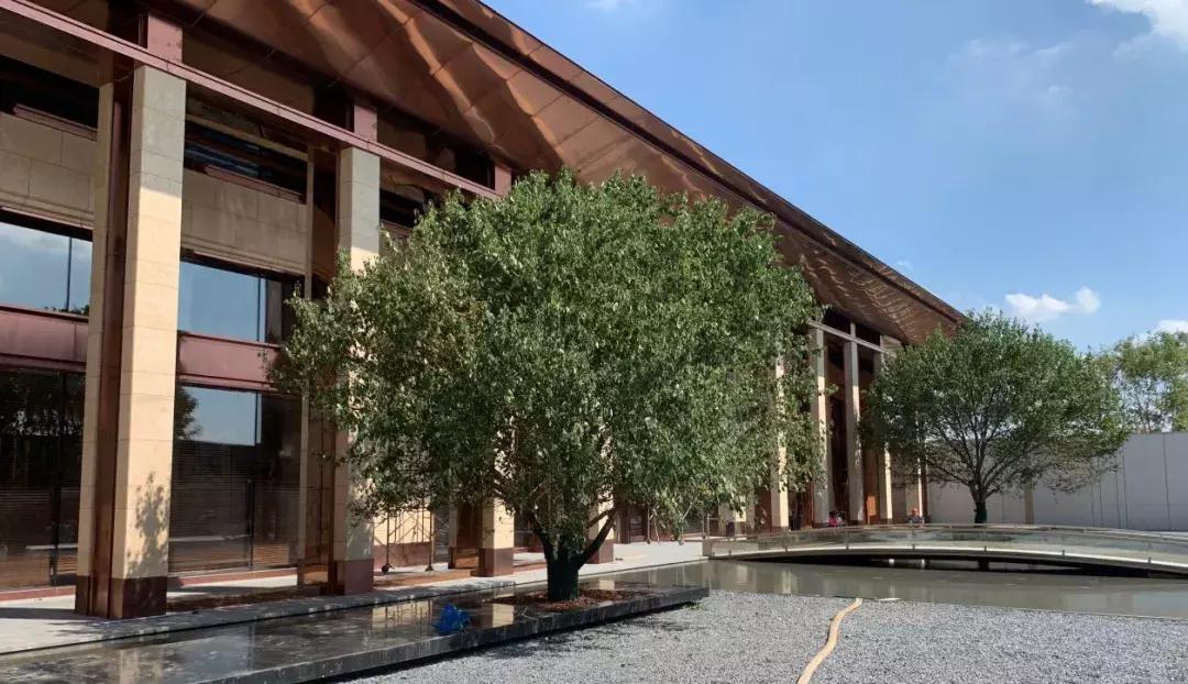 济南华润公元九里怎么样,沈阳华润公元九里二手房