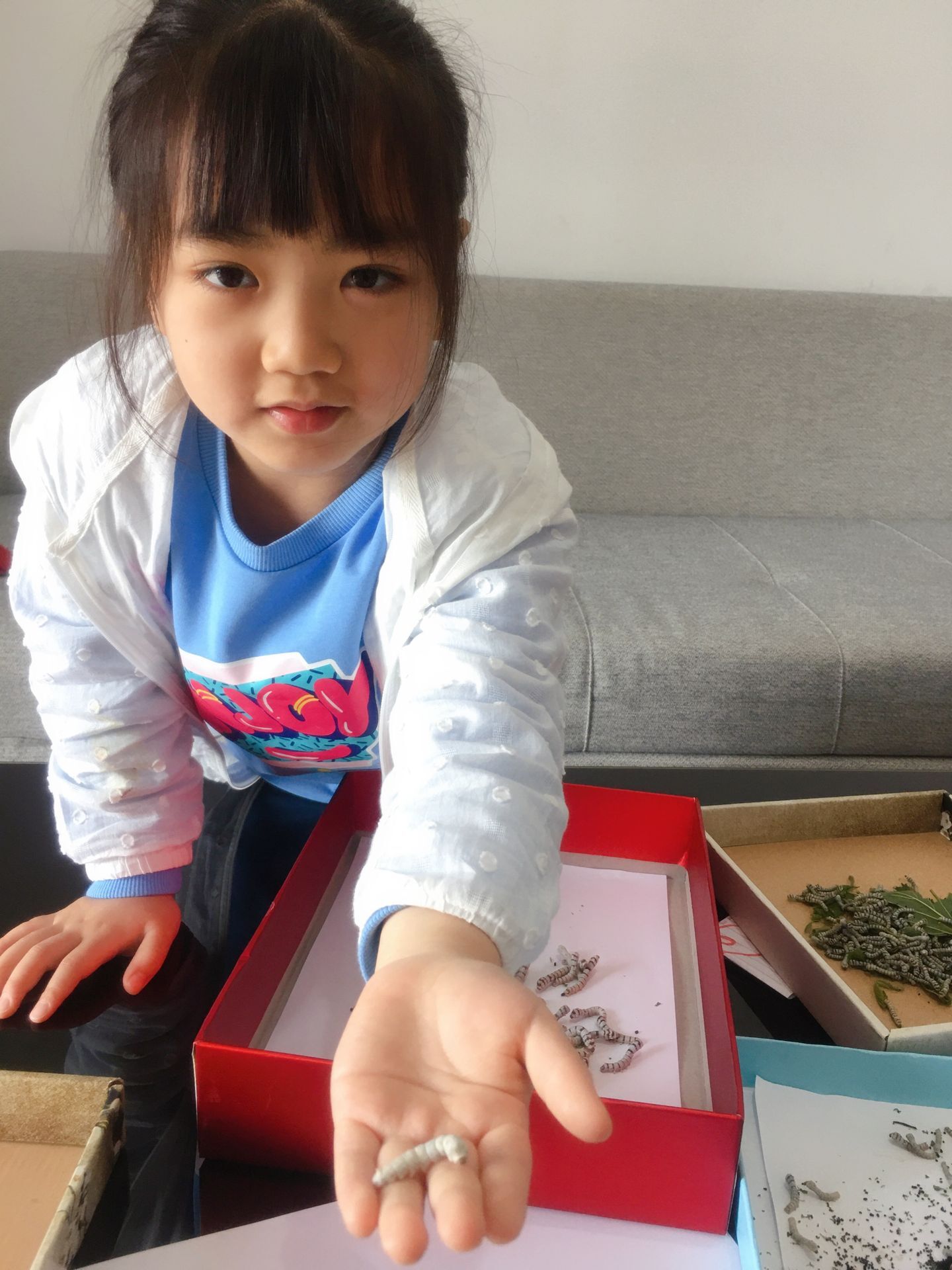 铏叮鍘熸枃,铏叮浣滃搧