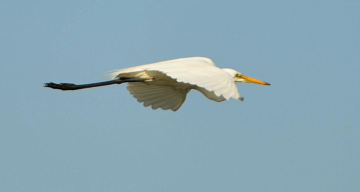 催婚讲的大道理,聊聊催婚那些事
