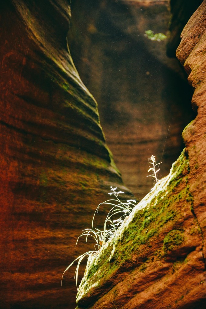 美西大峡谷羚羊谷,羚羊谷之美令人陶醉