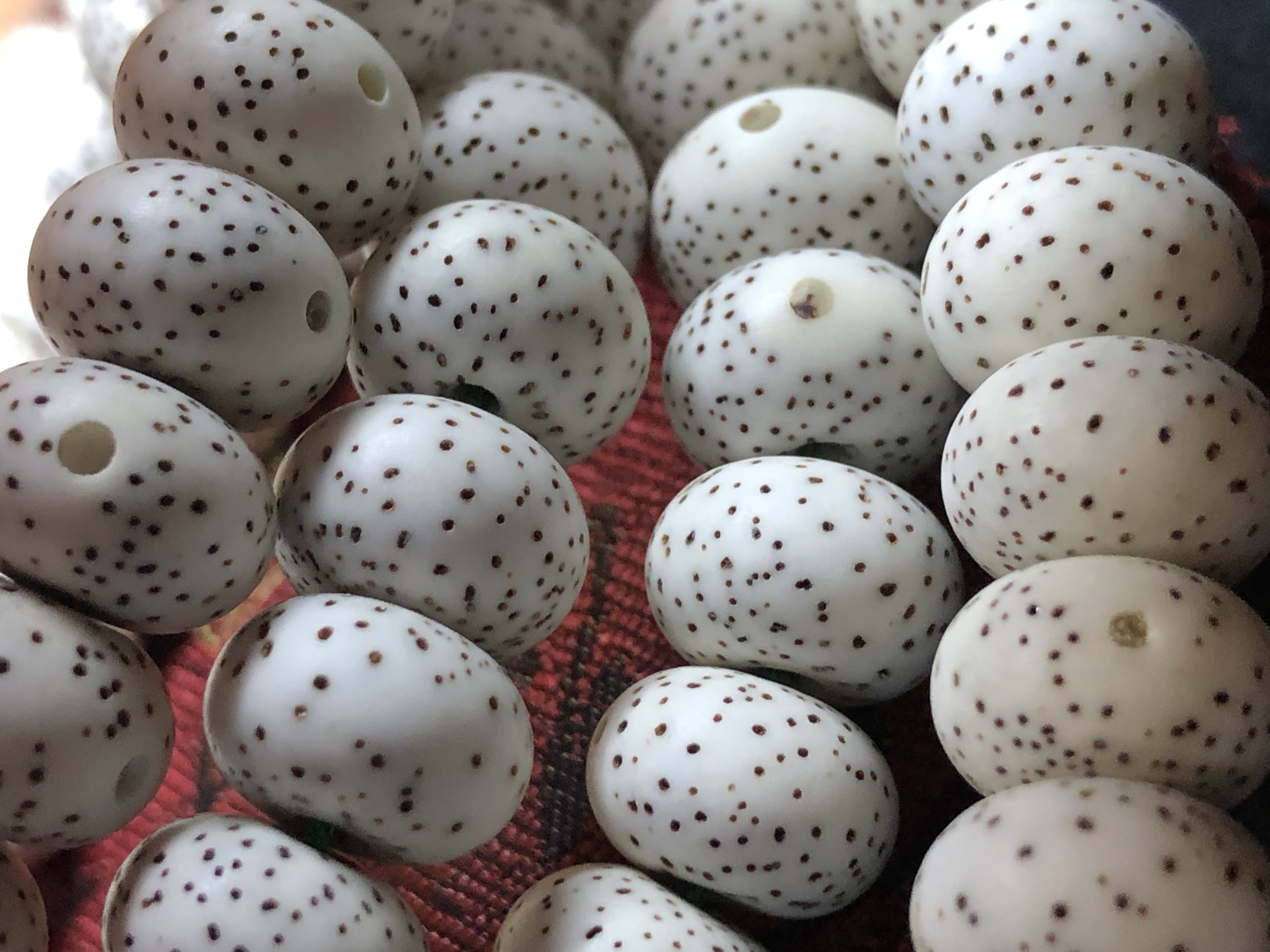 星月菩提陈籽怎么挑选,新手怎么挑星月菩提手串