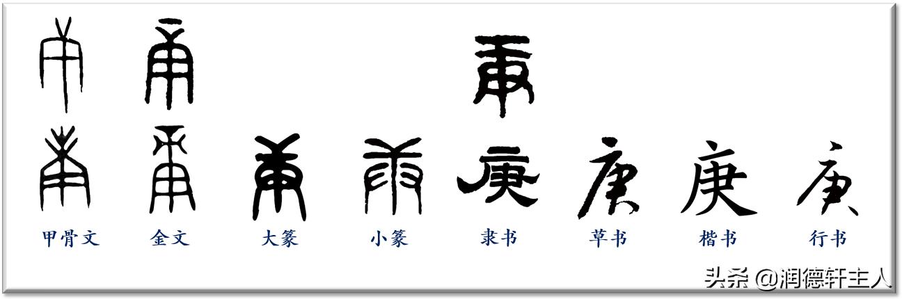 汉字本义深度解读,深度解析汉字本义