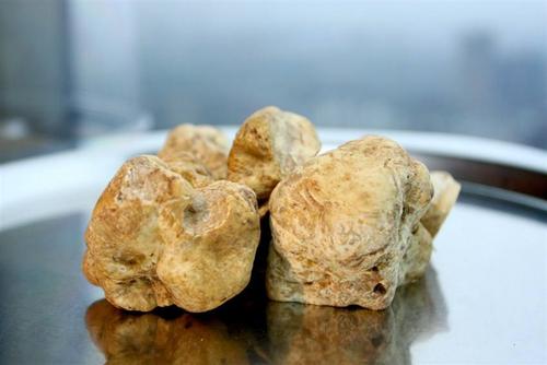 松露昂贵,松露价格大概是多少