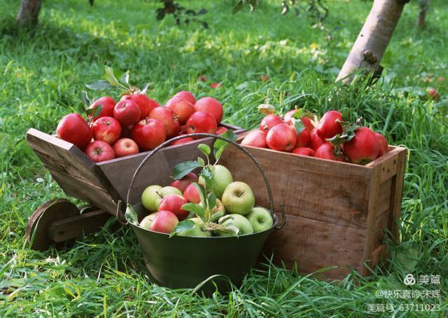 山大学院里树木故事,山大校史名人故事