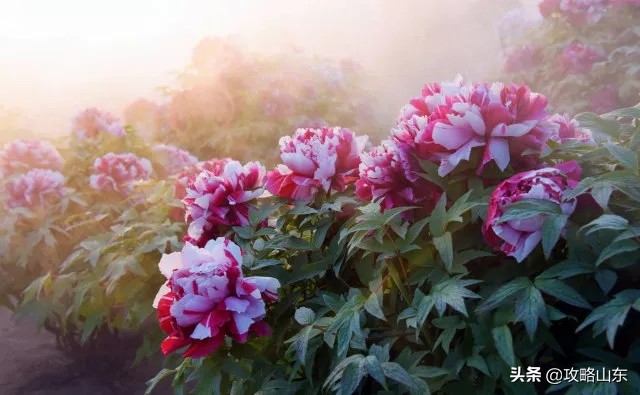 风水宝地只有山形,风水宝地真的和别的地方不一样吗