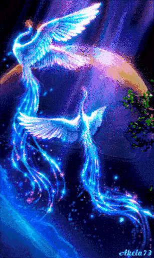 这是我见过最美丽的风景用英语,这是我见过最美的风景啥意思