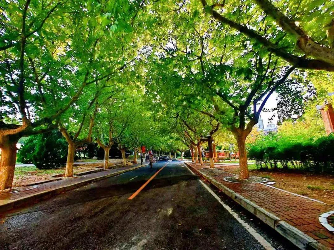 大连海事大学和辽宁省哪个级别高,大连海事大学辽宁省大学排名