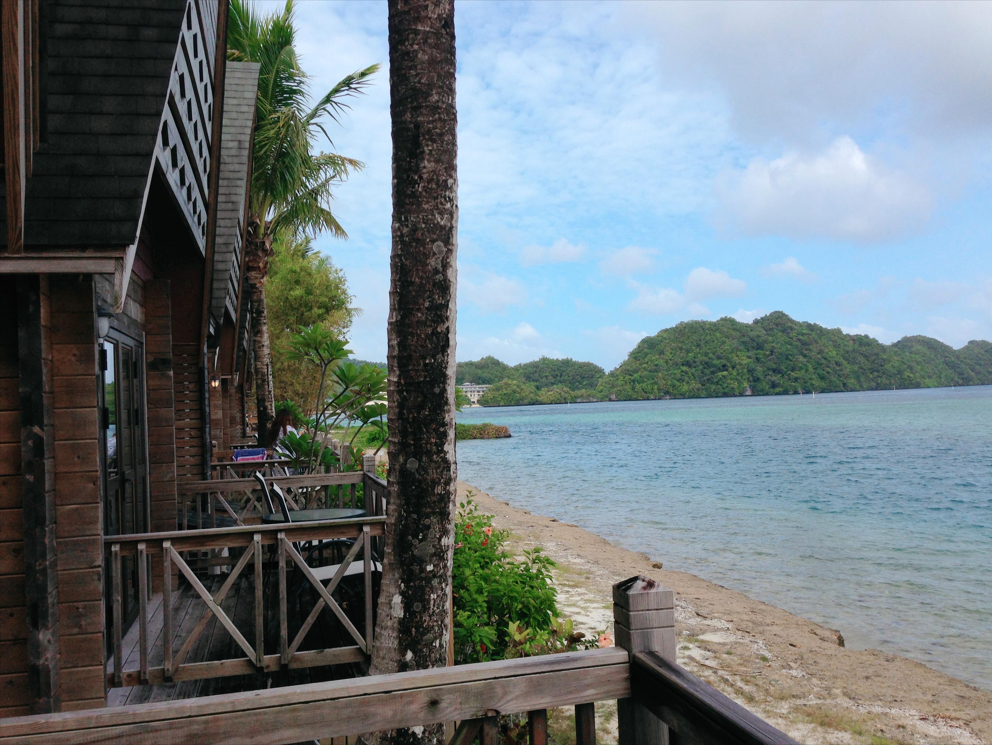 帕劳旅游十大攻略,帕劳上帝的水族箱