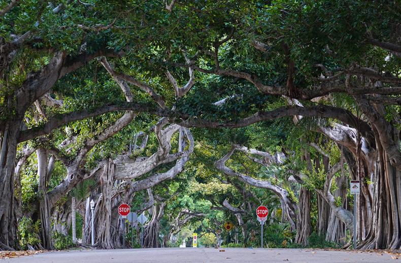 hm2传感器和imx686传感器,索尼最新传感器imx866