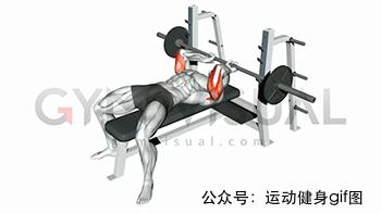 100张肌肉分解图,手臂肌肉的爆发力怎么练