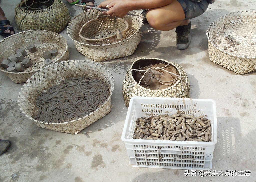 温岭吃海鲜,温岭禁渔期吃不到海鲜了吗