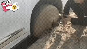 爆笑GIF：你敢出想法我就敢出人力，这就是农村的超神建筑队