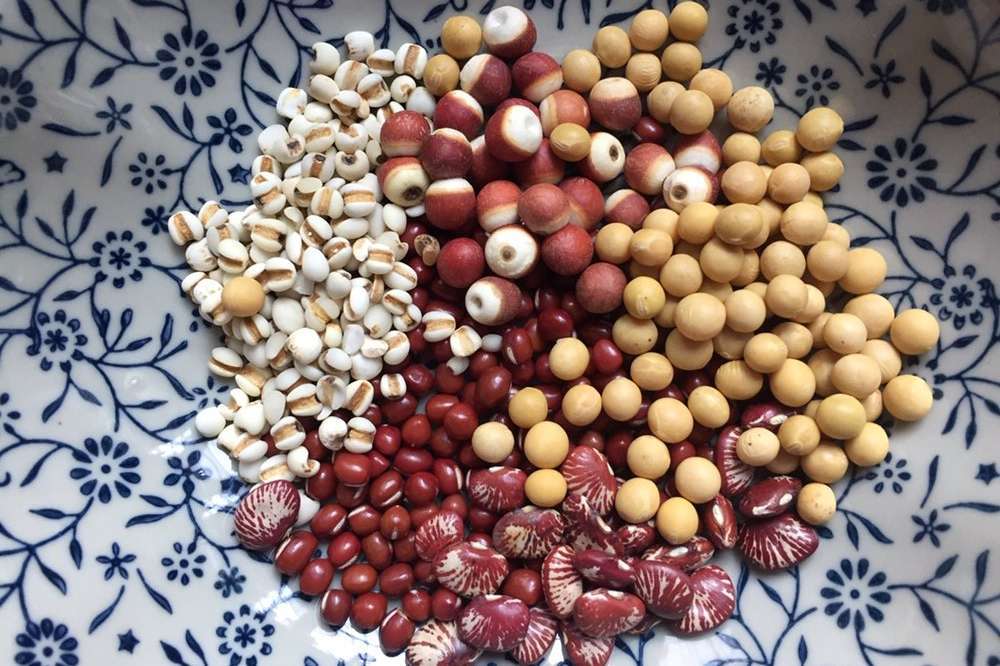 家庭用破壁机的食谱大全,家庭用破壁料理机的食谱