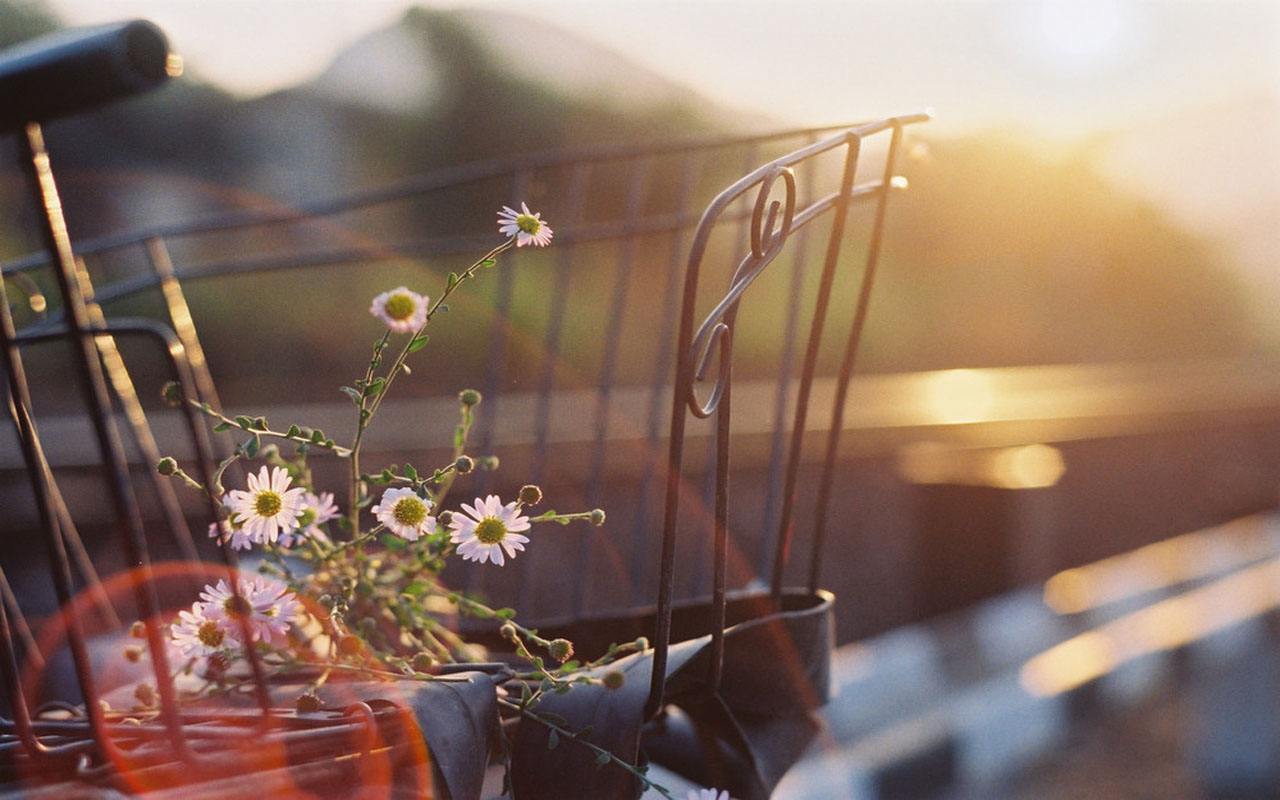 <html>
<head><title>502BadGateway</title></head>
<body>
<center><h1>502BadGateway</h1></center>
<hr><center>nginx</center>
</body>
</html>
<!--apaddingtodisableMSIEandChromefriendlyerrorpage-->
<!--apaddingtodisableMSIEandChromefriendlyerrorpage-->
<!--apaddingtodisableMSIEandChromefriendlyerrorpage-->
<!--apaddingtodisableMSIEandChromefriendlyerrorpage-->
<!--apaddingtodisableMSIEandChromefriendlyerrorpage-->
<!--apaddingtodisableMSIEandChromefriendlyerrorpage-->
