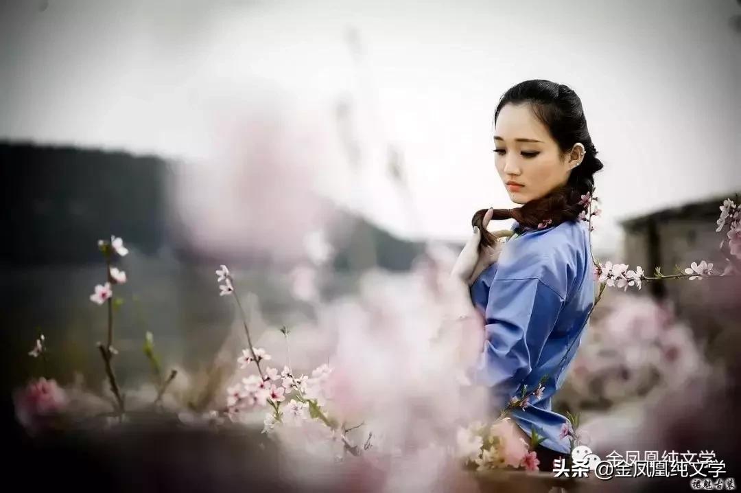 金凤凰古诗3首,金凤凰古诗作品