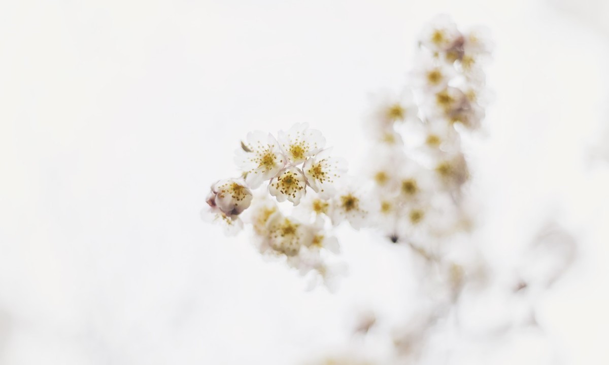 拼多多无货源去哪里找货源比较好,拼多多无货源网店怎么找货源