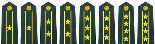 学校军训教官最高军衔,给学生军训的教官的军衔是真的吗