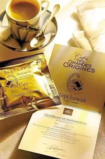 醉忆香猫屎咖啡是真猫屎咖啡吗,猫屎风味咖啡是真的猫屎咖啡吗