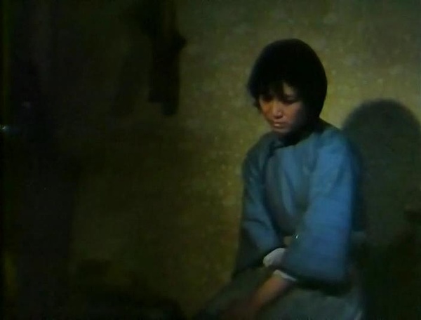 伤逝子君出走原因,伤逝子君觉醒