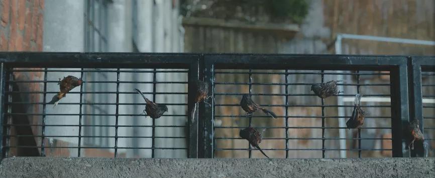 全片高能反转,性感美女化身“*窥偷**狂”